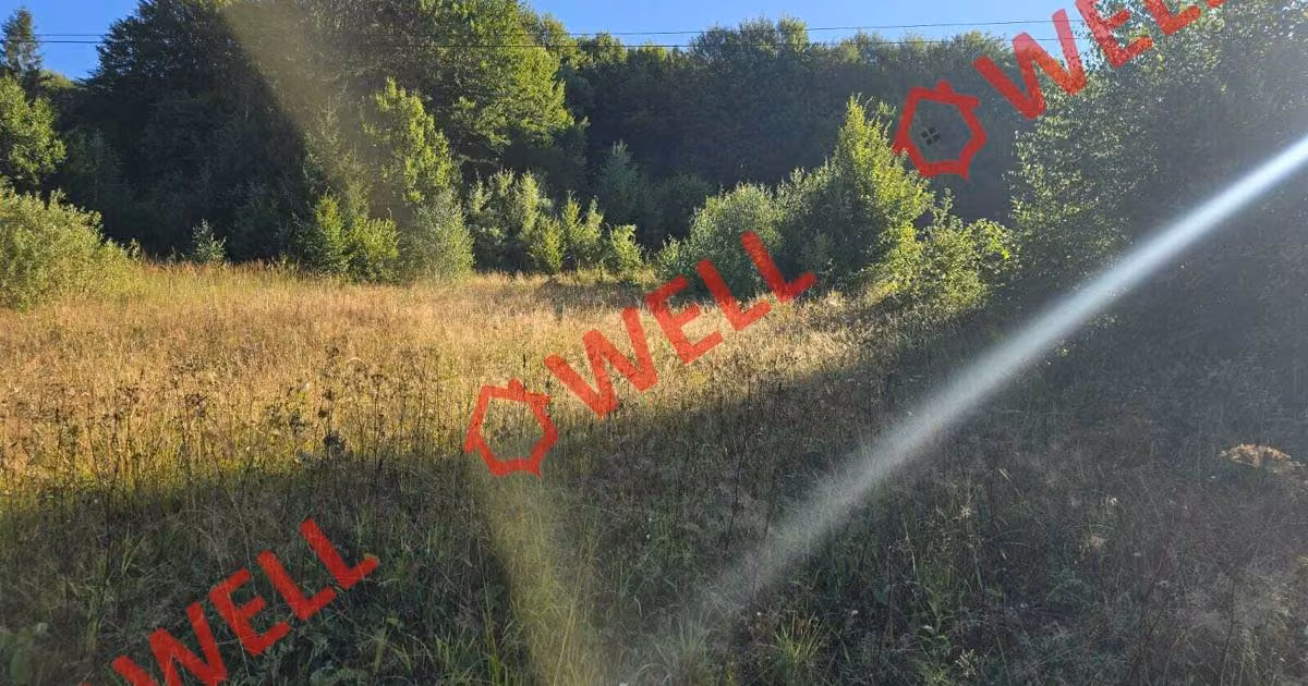 Teren agricol extravilan de vânzare de 5800 mp, în Întorsura Buzăului