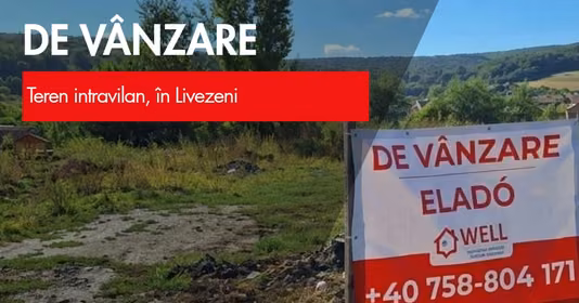 Teren Livezeni