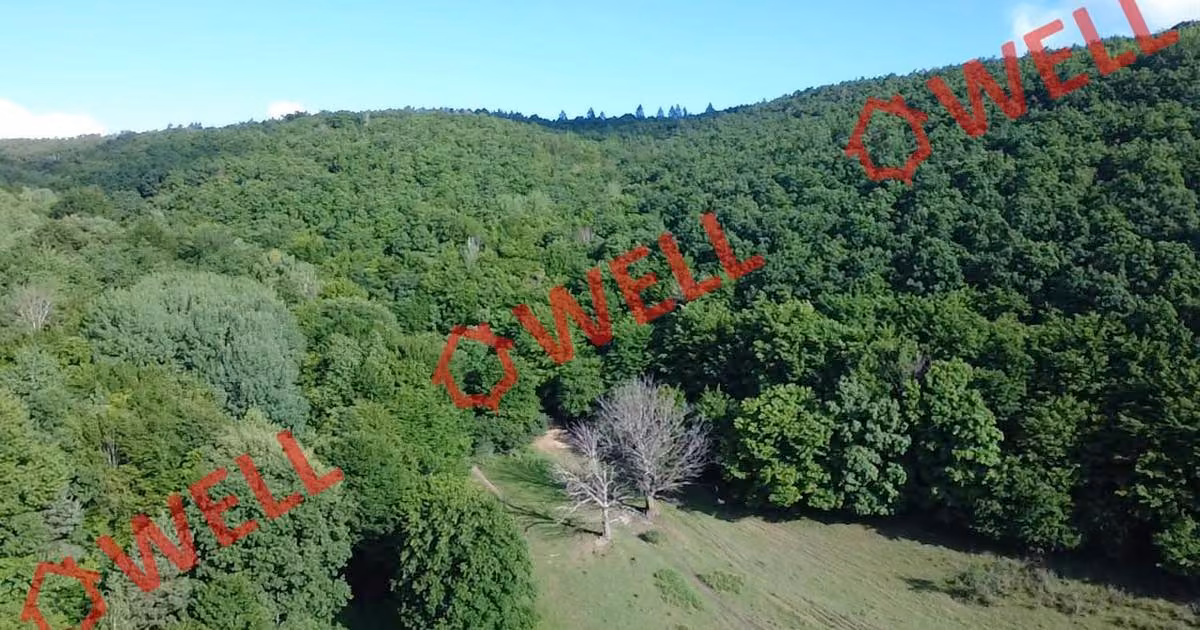 Teren extravilan de vânzare de 98200 mp, în Moacșa
