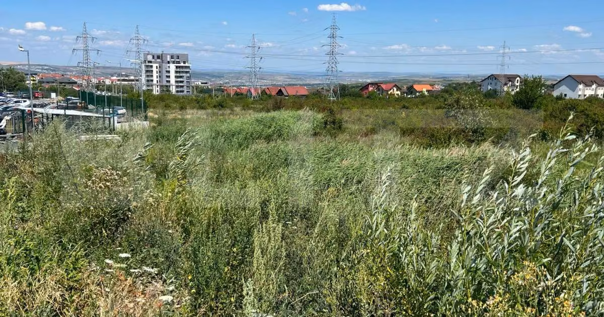 Teren Construcții intravilan de vânzare de 5000 mp, în zona Bună Ziua, Cluj-Napoca