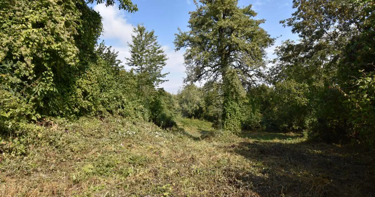 Teren · 155700 m², Bună Ziua, Cluj-Napoca