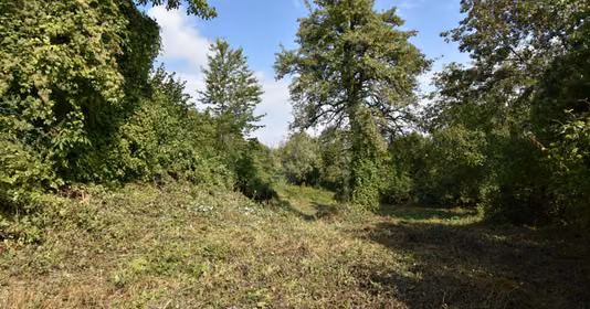 Teren Bună Ziua