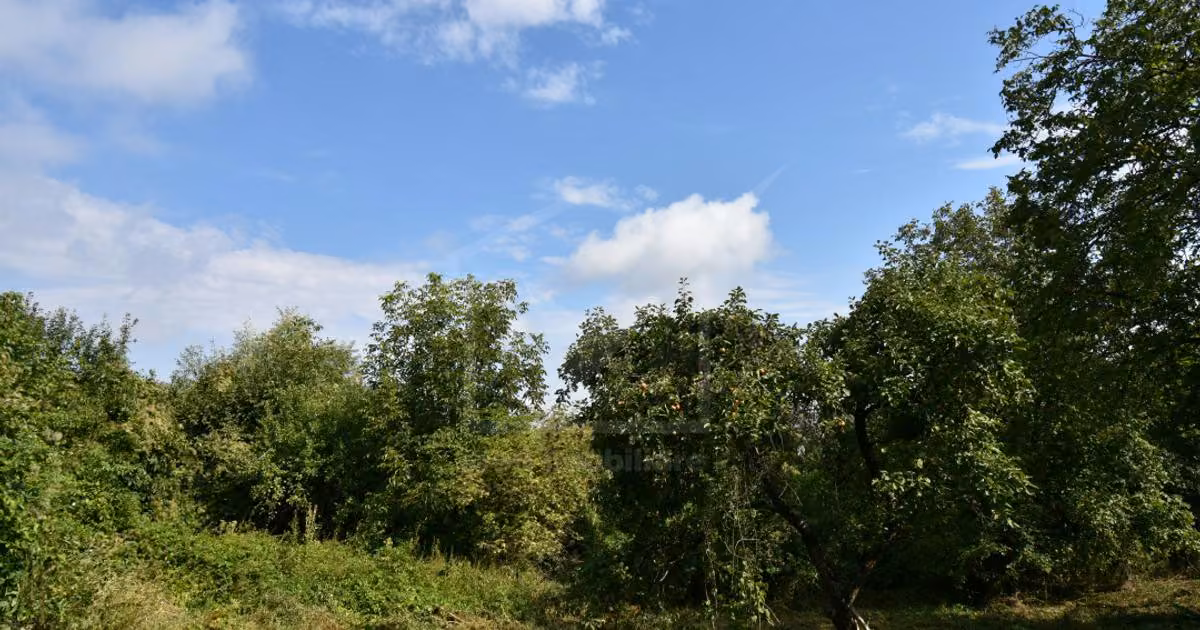 Casă individuală de vânzare cu 2 camere în Gheorghieni