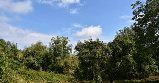 Casă Bună Ziua