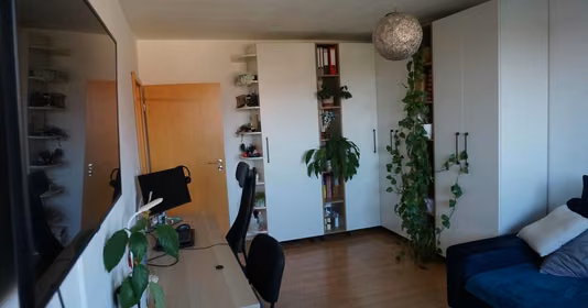 Apartament Circumvalațiunii