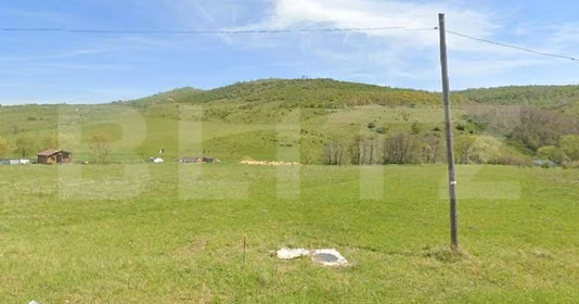 Teren Sălicea