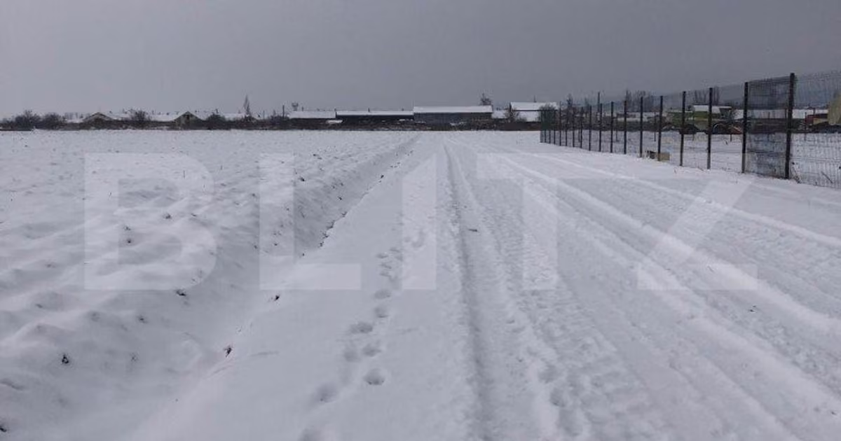 Teren Construcții intravilan de vânzare de 12000 mp, în zona Nord-Vest, Brașov