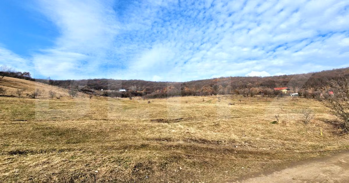 Teren Construcții intravilan de vânzare de 4100 mp, în Florești