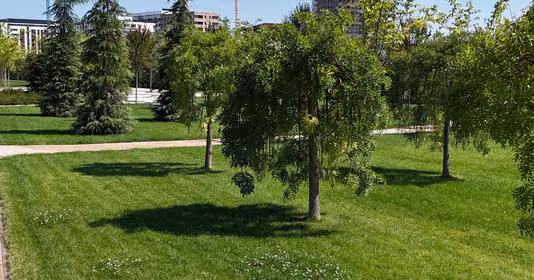 Apartament Militari