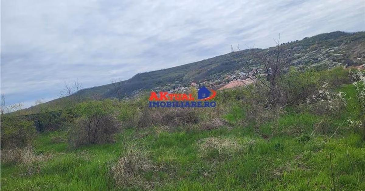 Teren agricol intravilan de vânzare de 35000 mp, în Ștefănești