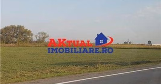 Teren Balotești