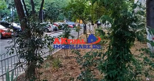 Apartament Drumul Taberei