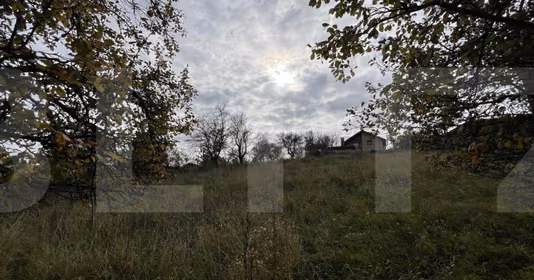 Teren Bună Ziua