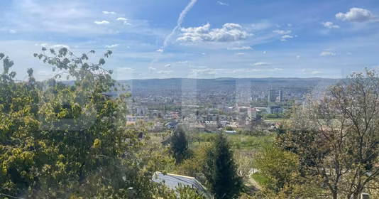 Teren Mărăști
