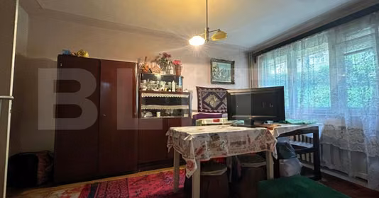 Apartament Central
