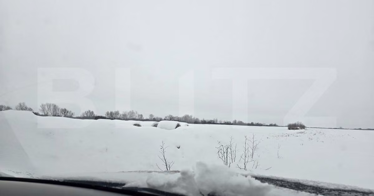 Teren Construcții extravilan de vânzare de 41000 mp, în Giroc
