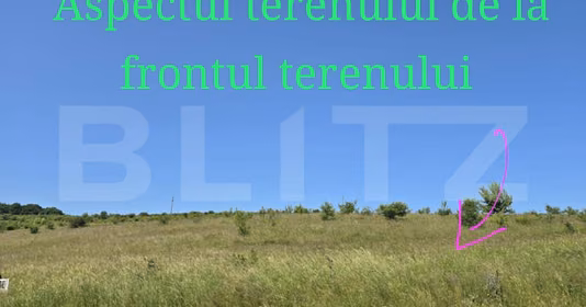Teren Sălicea