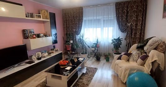 Apartament Micro 17