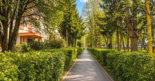 Apartament Centrul Civic