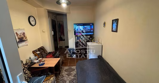 Apartament Aradului