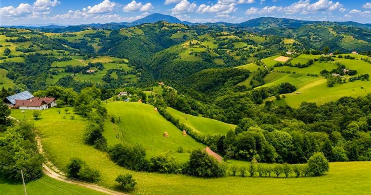 Teren Construcții intravilan de vânzare de 10335 mp, în Poiana Mărului