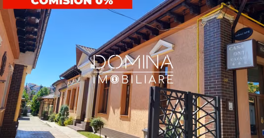 Spațiu comercial Central