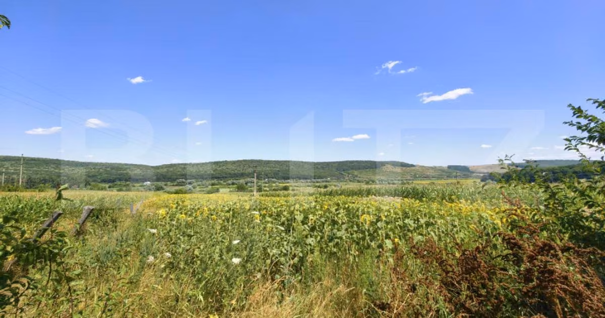 Teren Construcții intravilan de vânzare de 3150 mp, în Schitu Duca