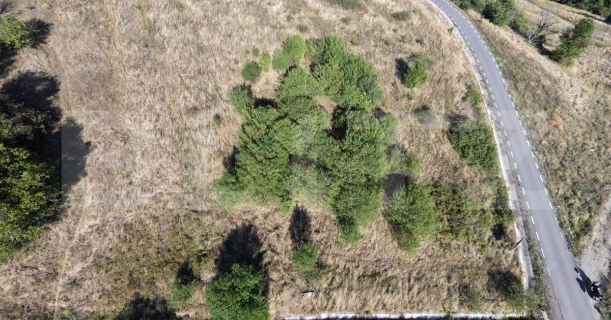 Teren agricol extravilan de vânzare de 2200 mp, în Baciu