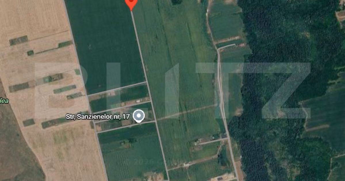 Teren Construcții intravilan de vânzare de 2426 mp, în Valea Lupului