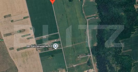 Teren Valea Lupului