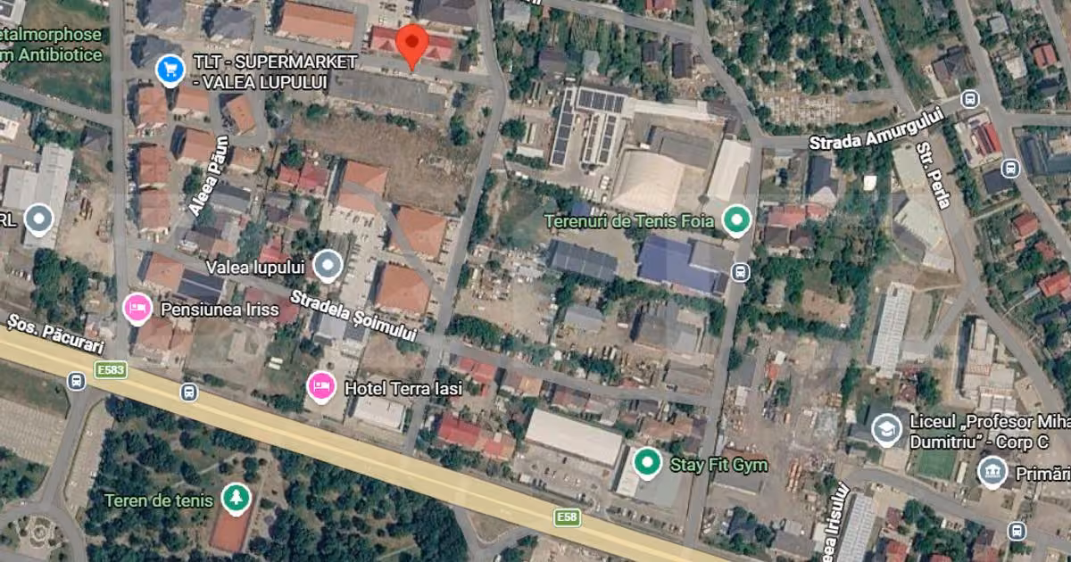 Teren Construcții intravilan de vânzare de 9444 mp, în Valea Lupului