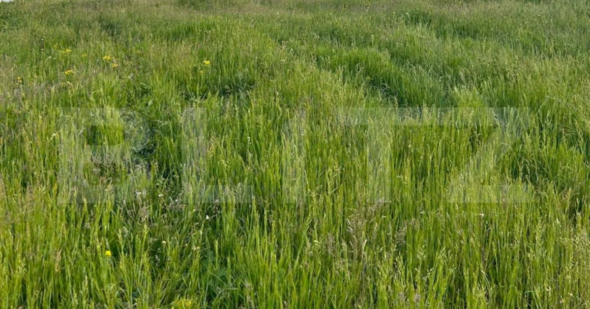 Teren Construcții intravilan de vânzare de 700 mp, în Mihai Viteazu