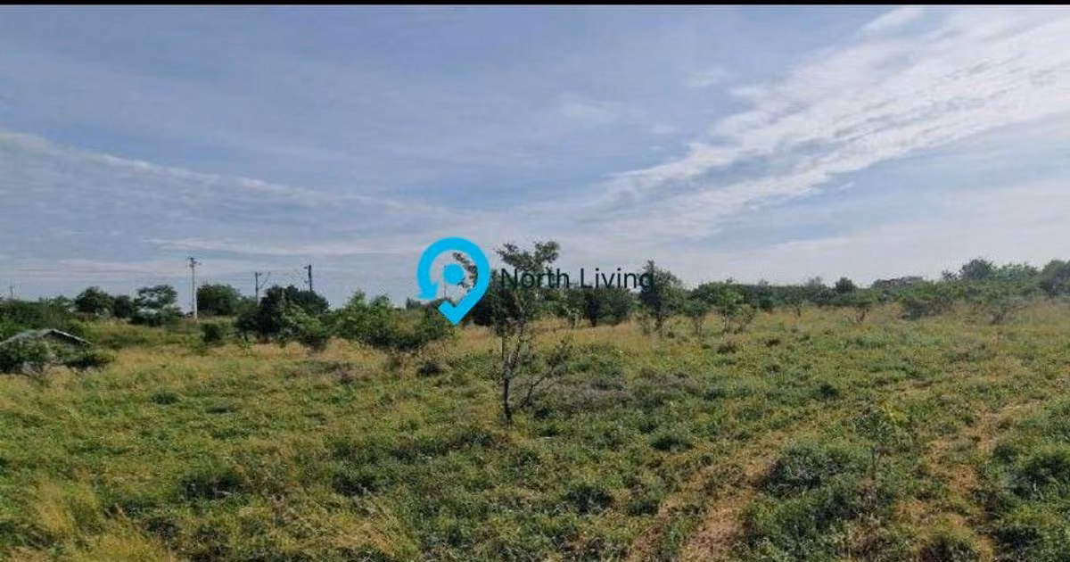 Teren Construcții intravilan de vânzare de 5800 mp, în Domnești