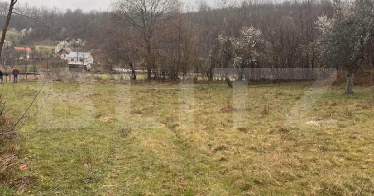 Teren Construcții extravilan de vânzare de 2900 mp, în Lugoj