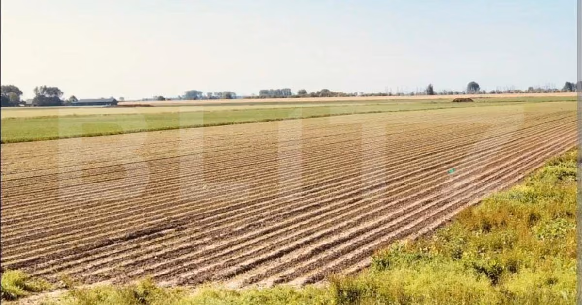 Teren agricol extravilan de vânzare de 30000 mp, în Lugoj