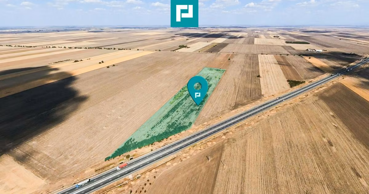 Teren agricol extravilan de vânzare de 63593 mp, în Pecica