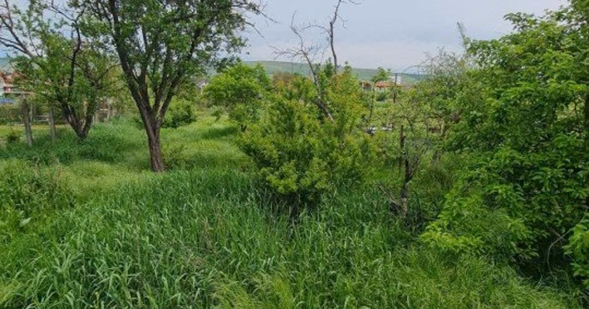 Teren Construcții intravilan de vânzare de 4900 mp, în Florești