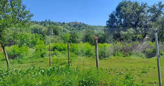 Teren Feldioara (Ucea)