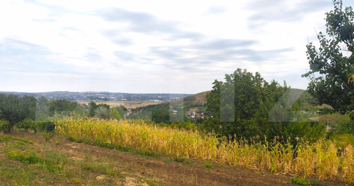 Teren Construcții intravilan de vânzare de 8841 mp, în Uricani