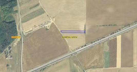 Teren Brănești