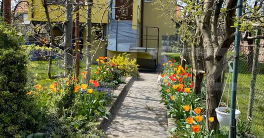 Casă Central