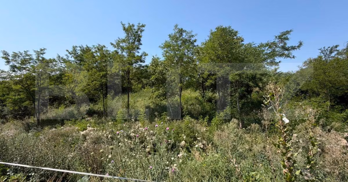 Teren Construcții intravilan de vânzare de 1748 mp, în Crairât