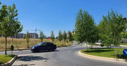 Apartament Theodor Pallady