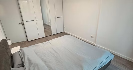 Apartament Theodor Pallady