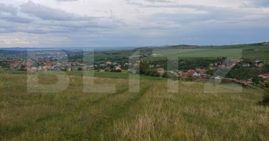 Teren Copăceni