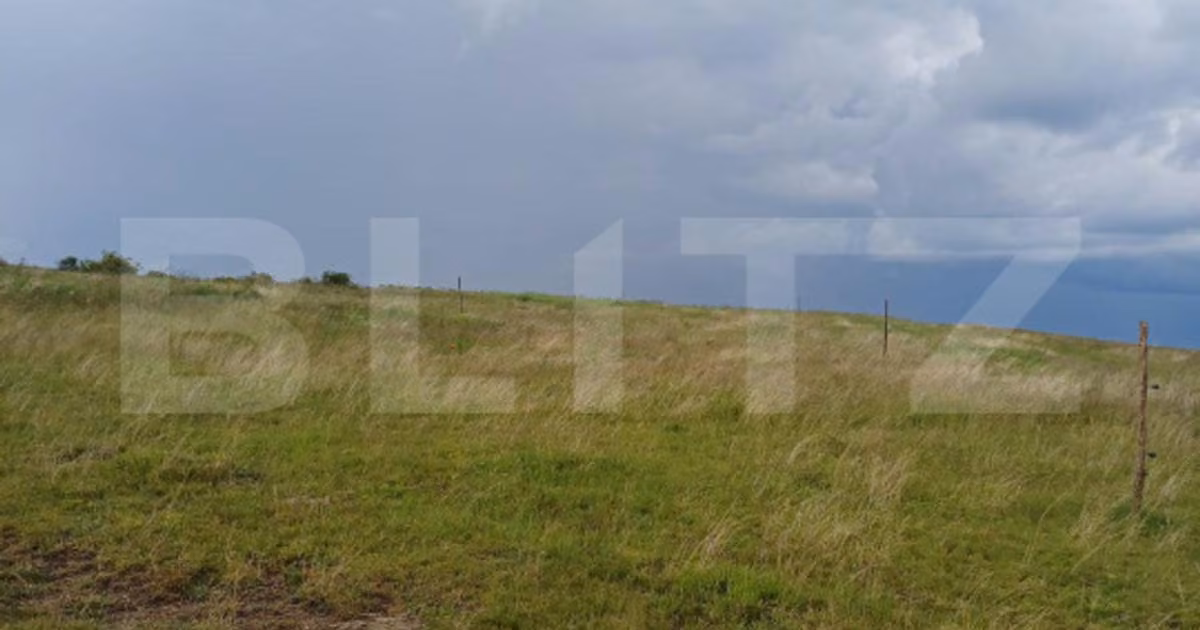 Teren agricol extravilan de vânzare de 1248 mp, în Copăceni