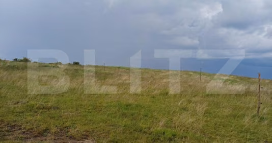 Teren Copăceni