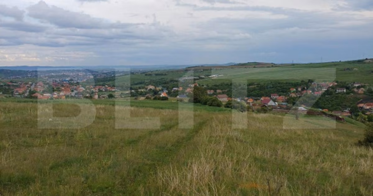 Teren agricol extravilan de vânzare de 1249 mp, în Copăceni