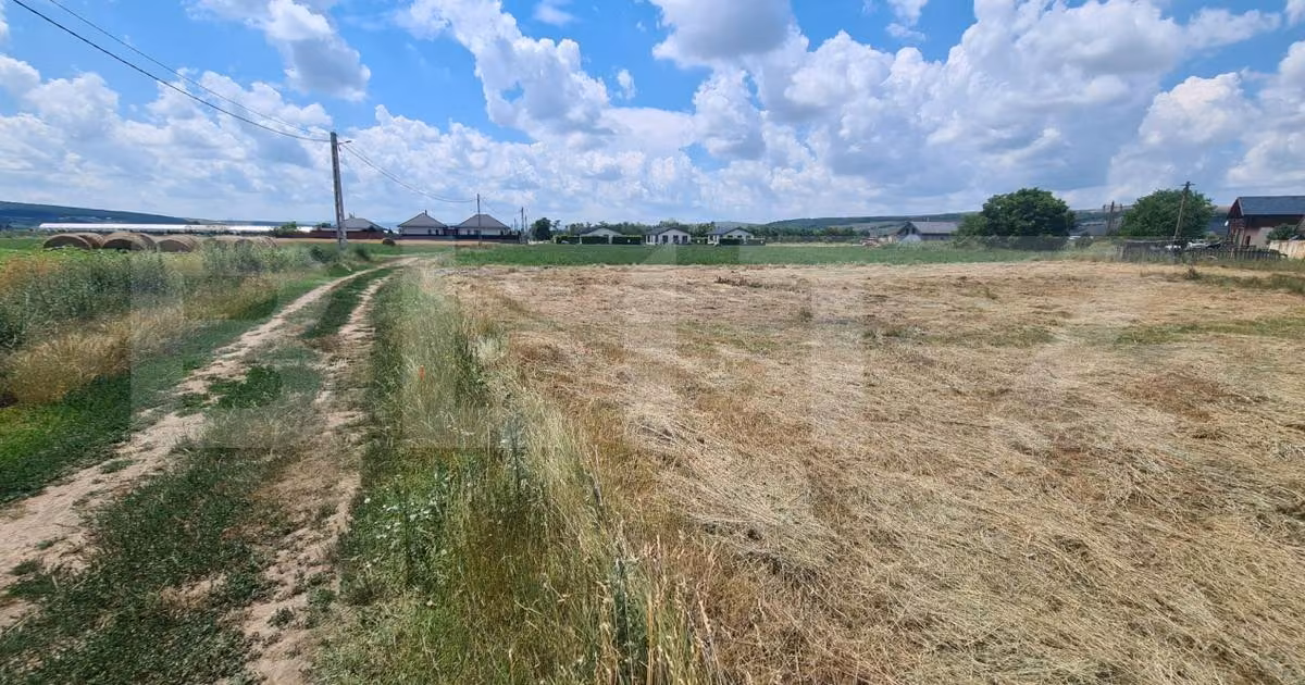 Teren agricol intravilan de vânzare de 3600 mp, în Jucu de Mijloc