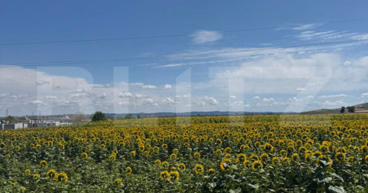 Teren Construcții intravilan de vânzare de 20000 mp, în Turda